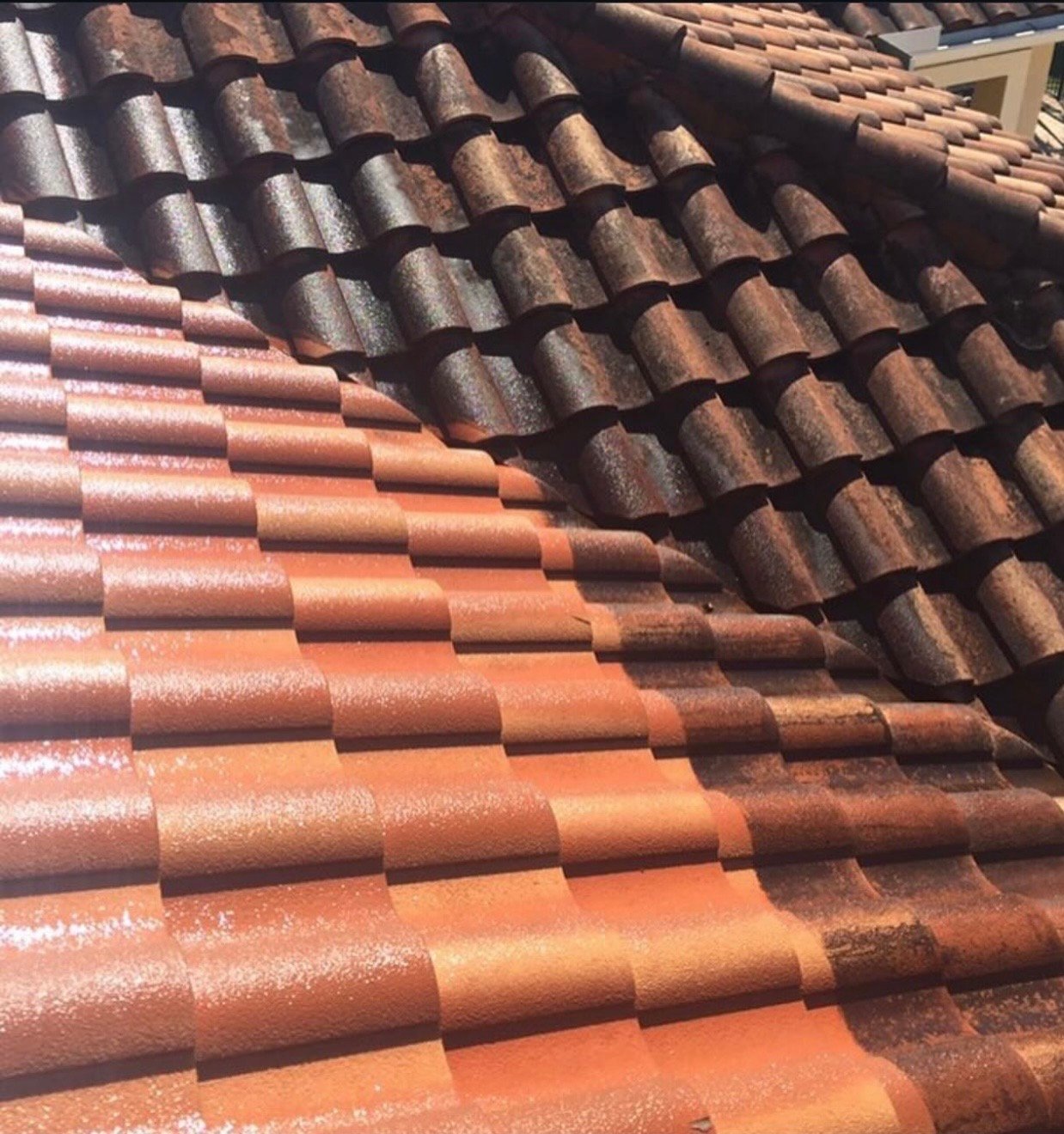 Roof Tile Cleaning