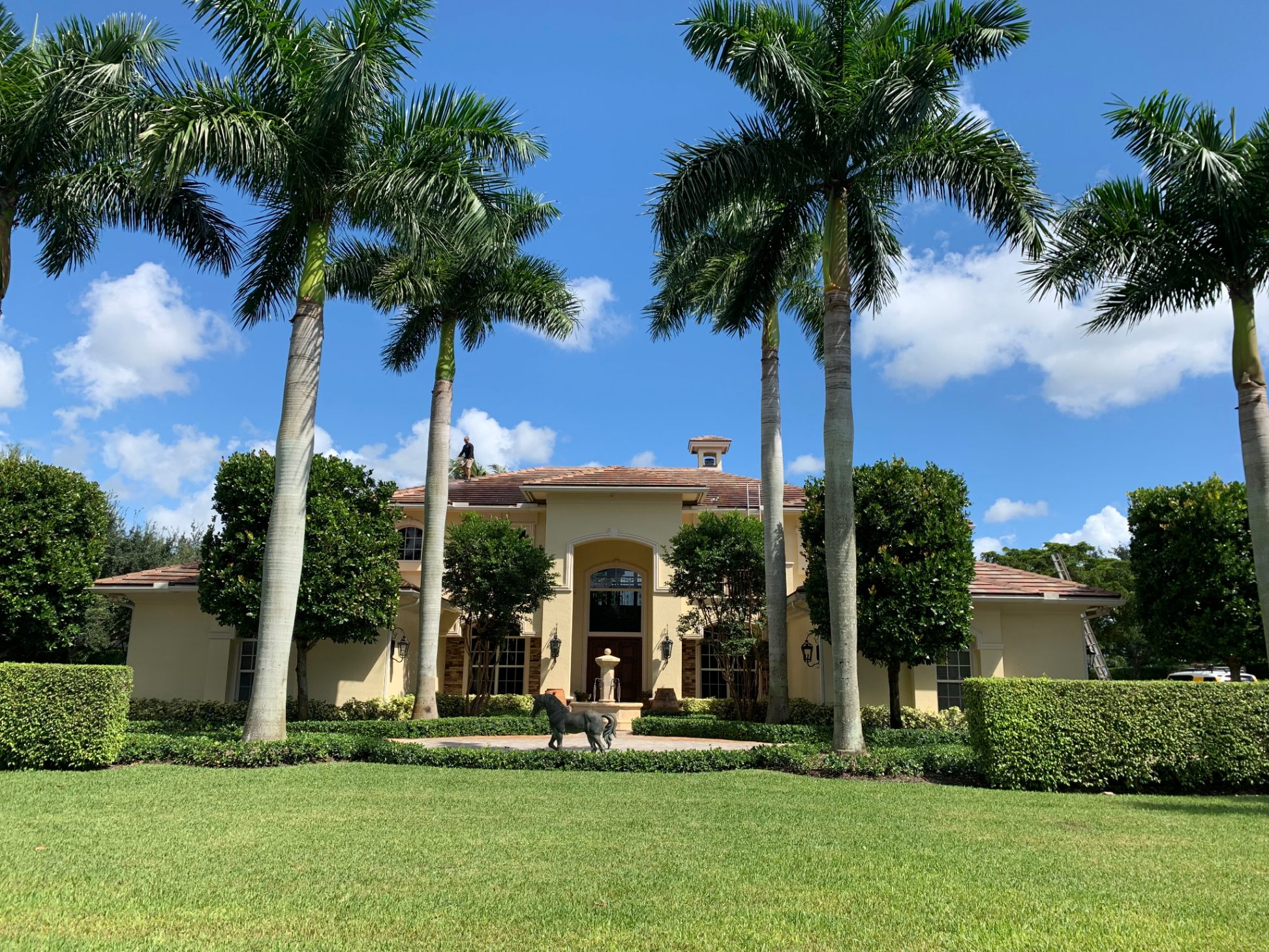 Luxury Estate Roof Cleaning
